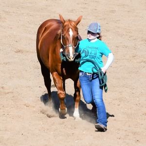 Meet your Posher, Alexys